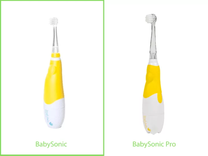 roznice-brushbaby
